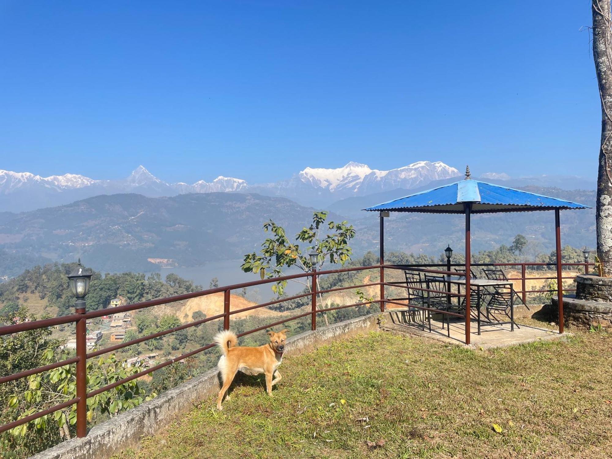 Himalaya Serene View Guest House & Farm Stay Deorāli Kültér fotó